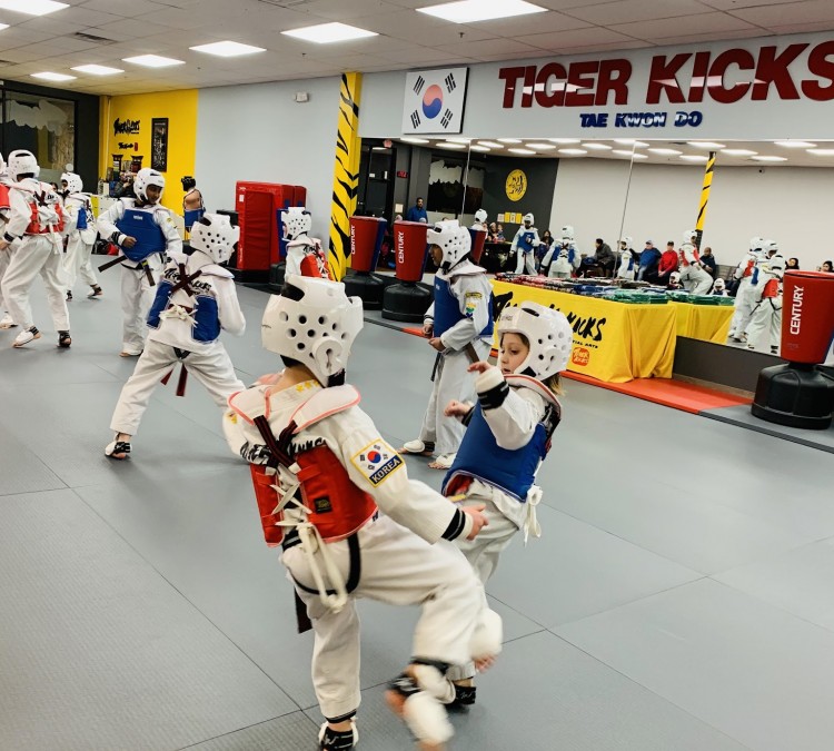 tiger-kicks-martial-arts-taekwondo-photo